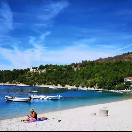 Sea Vew Antonia, * Stanici